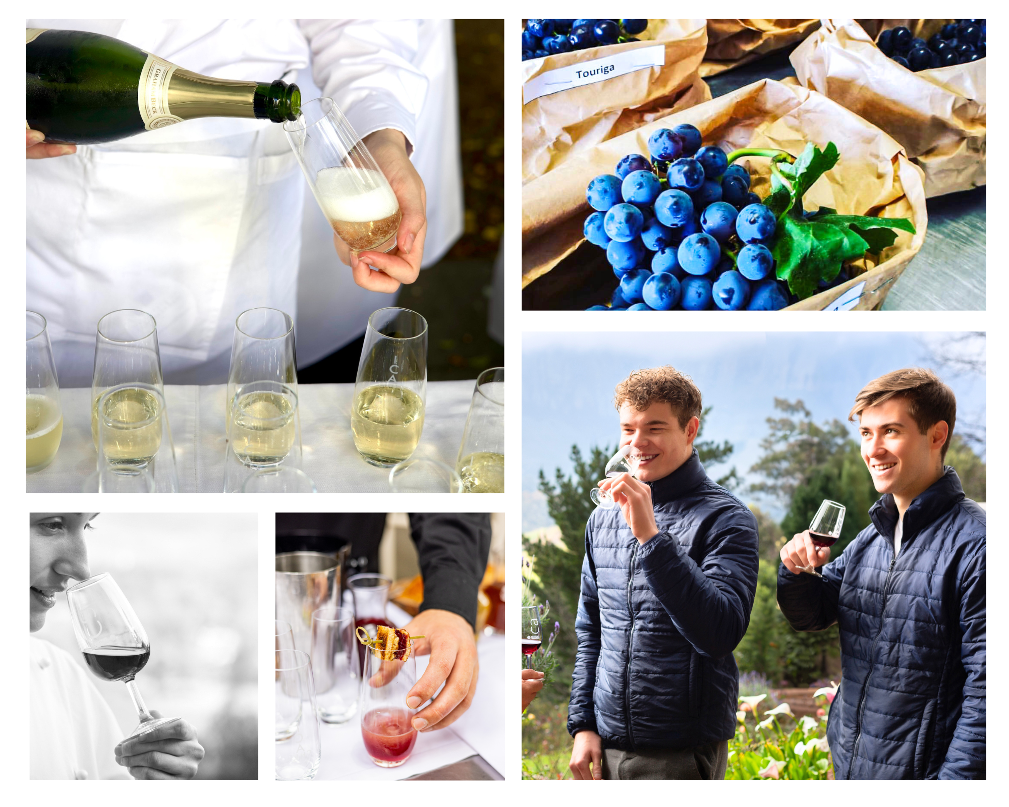 ICA Professional Wine Studies Specialisation